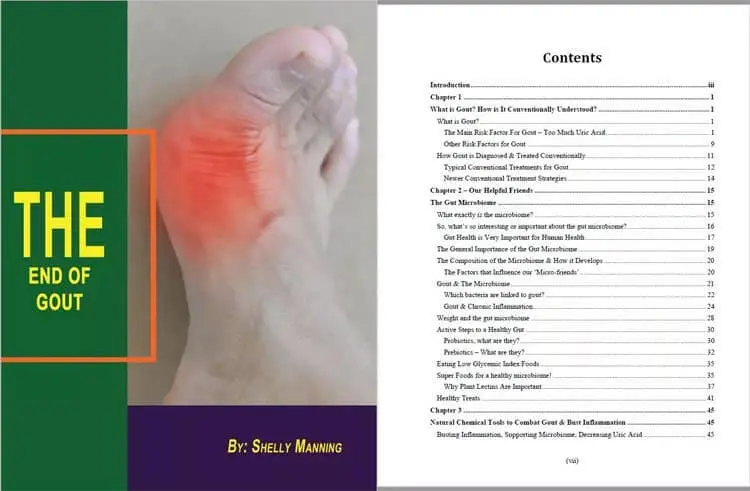 end of gout book review