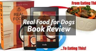 Real Food for Dogs E-Book